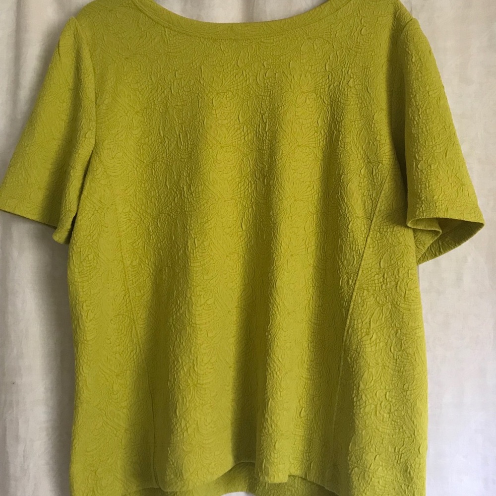 Anne Taylor LOFT blouse